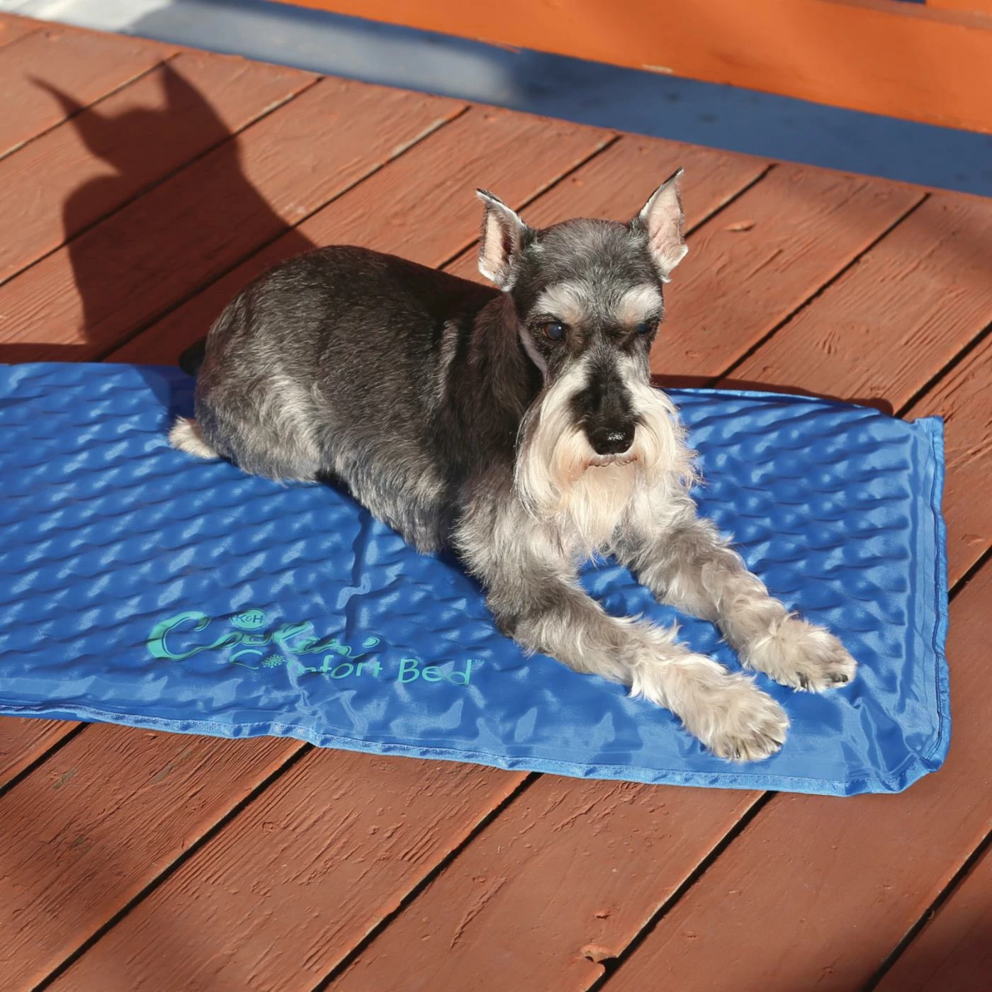 Coupon ⌛ K&H Pet Products ???? Dog Mats & Pads K&H Pet Products Coolin Comfort Bed ???? 6 Coupon ⌛ K&H Pet Products ???? Dog Mats & Pads K&H Pet Products Coolin Comfort Bed ???? - Image 4