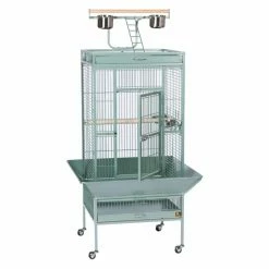Best Pirce ⌛ Medium Bird Cages Prevue Pet Products Select Wrought Iron Parrot Cage 3152 ✨ 5 Best Pirce ⌛ Medium Bird Cages Prevue Pet Products Select Wrought Iron Parrot Cage 3152 ✨ -Lucky Dog Sales Store detail2PRP093