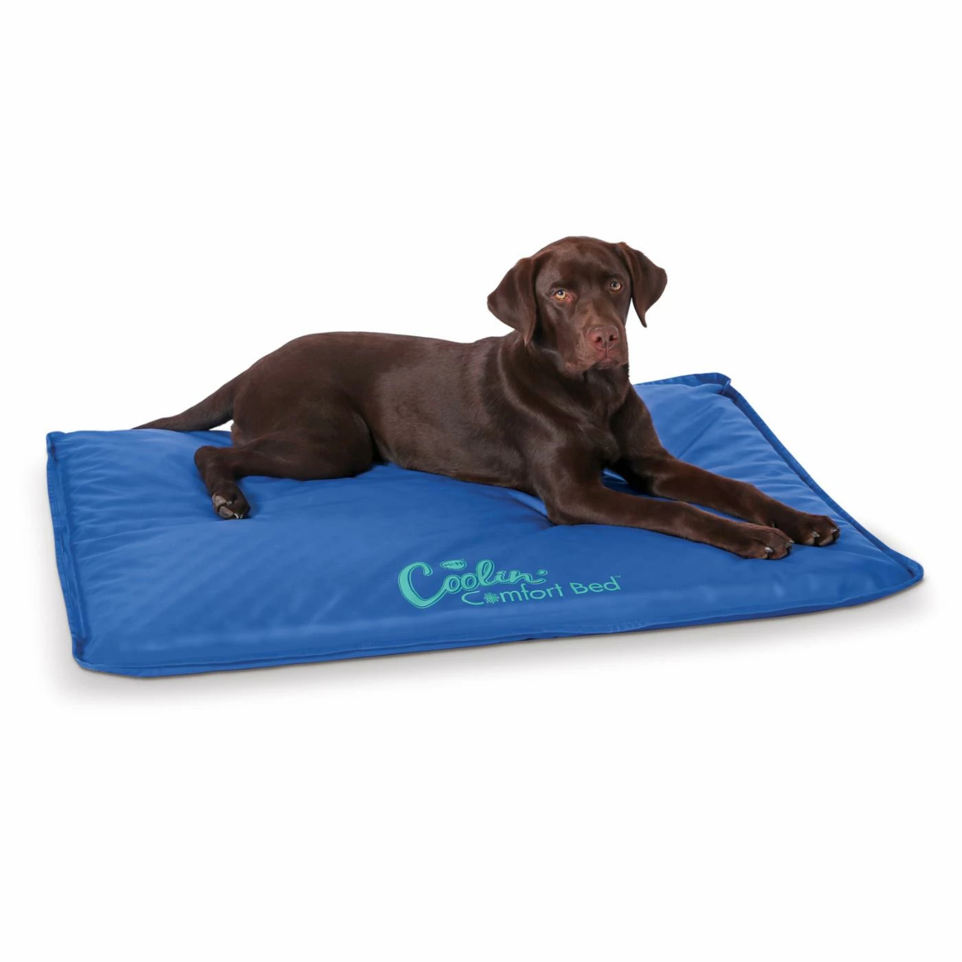 Coupon ⌛ K&H Pet Products ???? Dog Mats & Pads K&H Pet Products Coolin Comfort Bed ???? 8 Coupon ⌛ K&H Pet Products ???? Dog Mats & Pads K&H Pet Products Coolin Comfort Bed ???? - Image 6