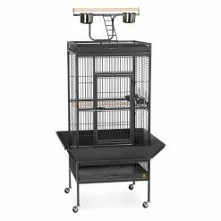 Best Pirce ⌛ Medium Bird Cages Prevue Pet Products Select Wrought Iron Parrot Cage 3152 ✨ 7 Best Pirce ⌛ Medium Bird Cages Prevue Pet Products Select Wrought Iron Parrot Cage 3152 ✨ -Lucky Dog Sales Store detail3PRP093