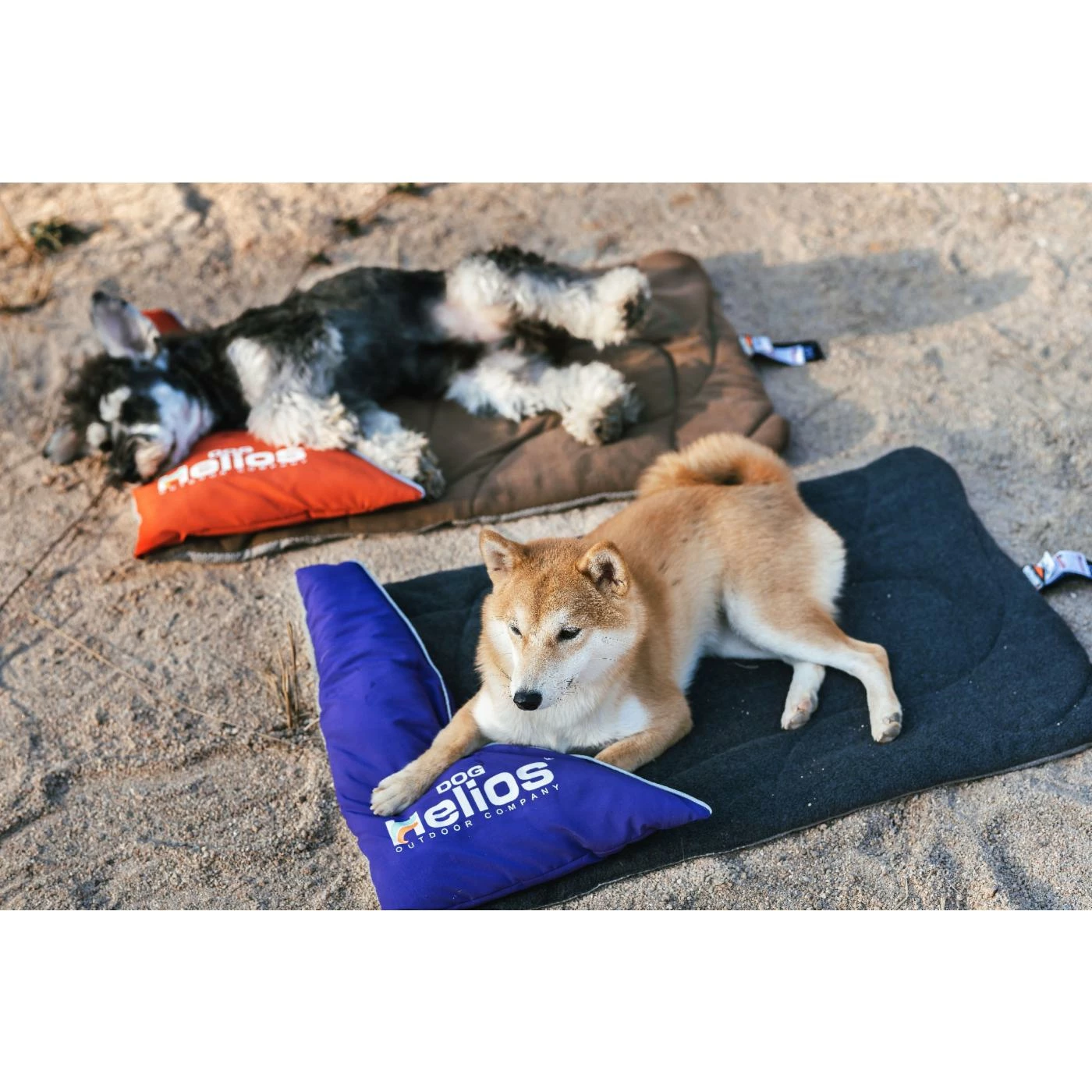 Dog Helios 'Expedition' Sporty Travel Camping Pillow Dog Bed Promo ???? Outdoor ???? Dog Helios 'Expedition' Sporty Travel Camping Pillow ???? Dog Bed ✨ -Lucky Dog Sales Store detail3PTF566