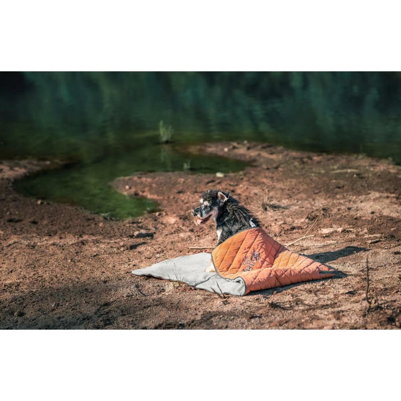 Cheap ???? Dog Helios 'Boulder-Trek' 3-in-1 Expandable Surface Outdoor Travel Camping ???? Dog Mat ???? 7 Cheap ???? Dog Helios 'Boulder-Trek' 3-in-1 Expandable Surface Outdoor Travel Camping ???? Dog Mat ???? - Image 5