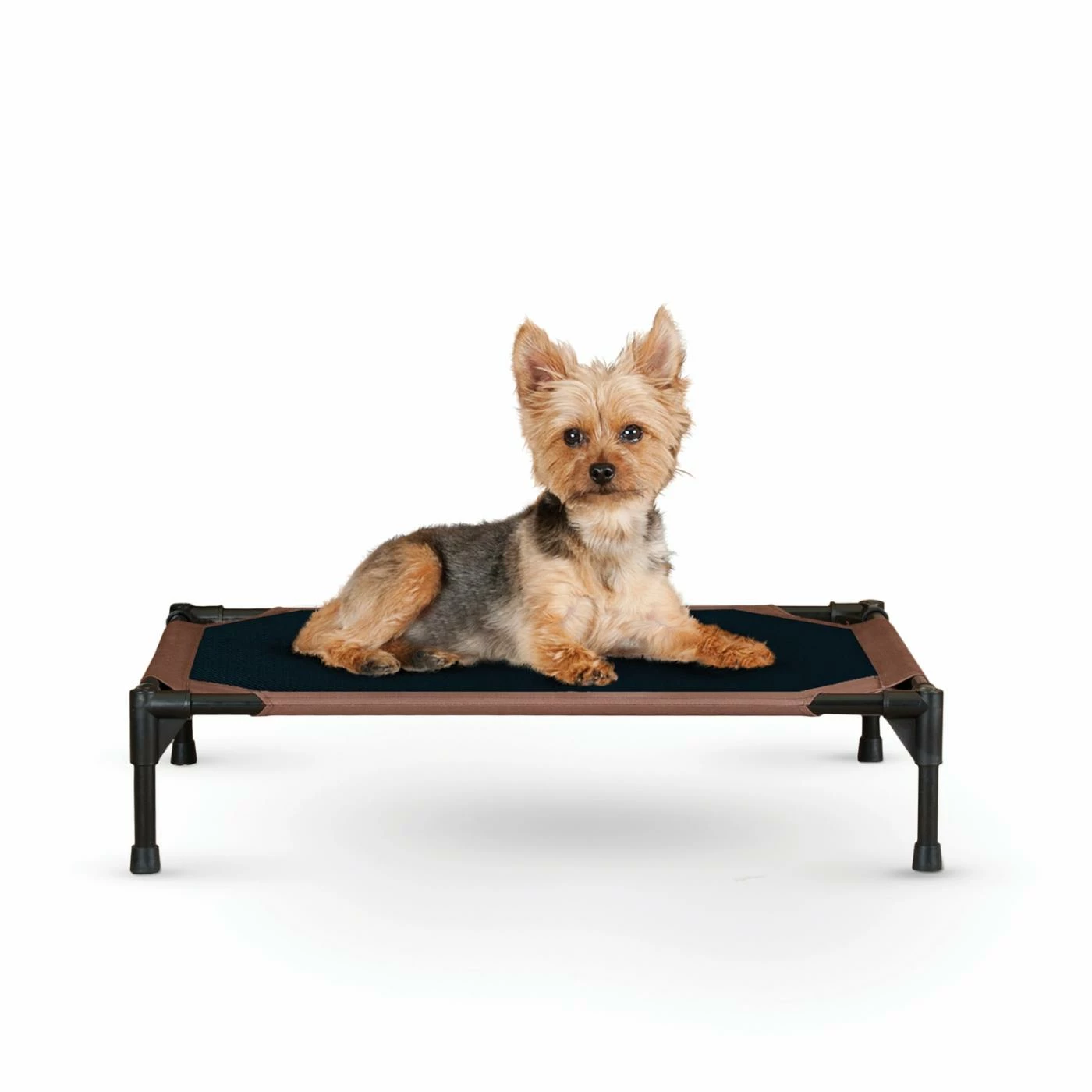 Top 10 ???? K&H Pet Products Outdoor K&H Pet Products Original 2 Tone Pet Cot ???? 9 Top 10 ???? K&H Pet Products Outdoor K&H Pet Products Original 2 Tone Pet Cot ???? - Image 7