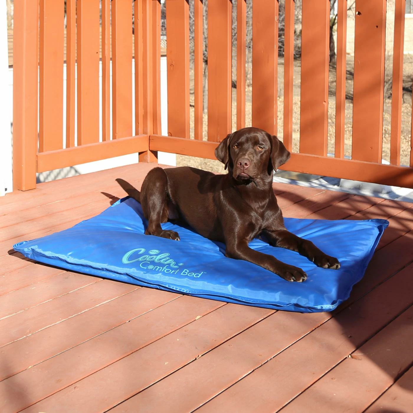Coupon ⌛ K&H Pet Products ???? Dog Mats & Pads K&H Pet Products Coolin Comfort Bed ???? 9 Coupon ⌛ K&H Pet Products ???? Dog Mats & Pads K&H Pet Products Coolin Comfort Bed ???? - Image 7