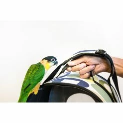 Discount ???? Medium Bird Cages Prevue Pet Products Soft Sided Bird Travel Carrier With Perch ???? 16 Discount ???? Medium Bird Cages Prevue Pet Products Soft Sided Bird Travel Carrier With Perch ???? -Lucky Dog Sales Store detail4PRP319