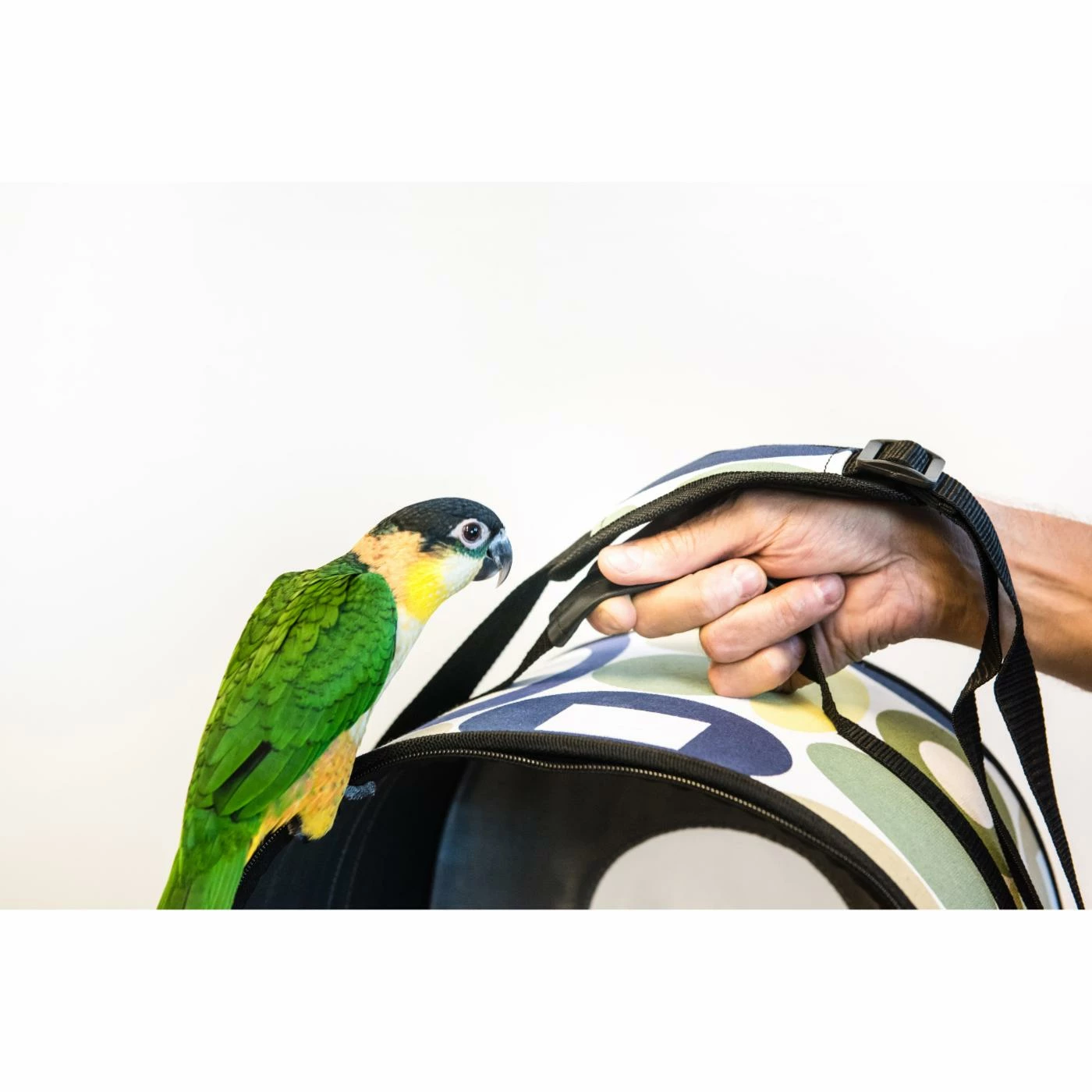 Discount ???? Medium Bird Cages Prevue Pet Products Soft Sided Bird Travel Carrier With Perch ???? 9 Discount ???? Medium Bird Cages Prevue Pet Products Soft Sided Bird Travel Carrier With Perch ???? - Image 7