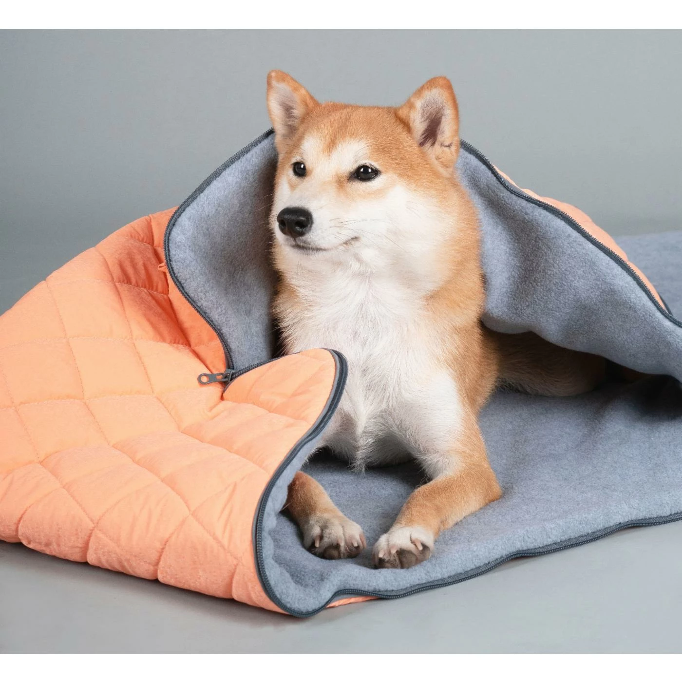 Cheap ???? Dog Helios 'Boulder-Trek' 3-in-1 Expandable Surface Outdoor Travel Camping ???? Dog Mat ???? 8 Cheap ???? Dog Helios 'Boulder-Trek' 3-in-1 Expandable Surface Outdoor Travel Camping ???? Dog Mat ???? - Image 6