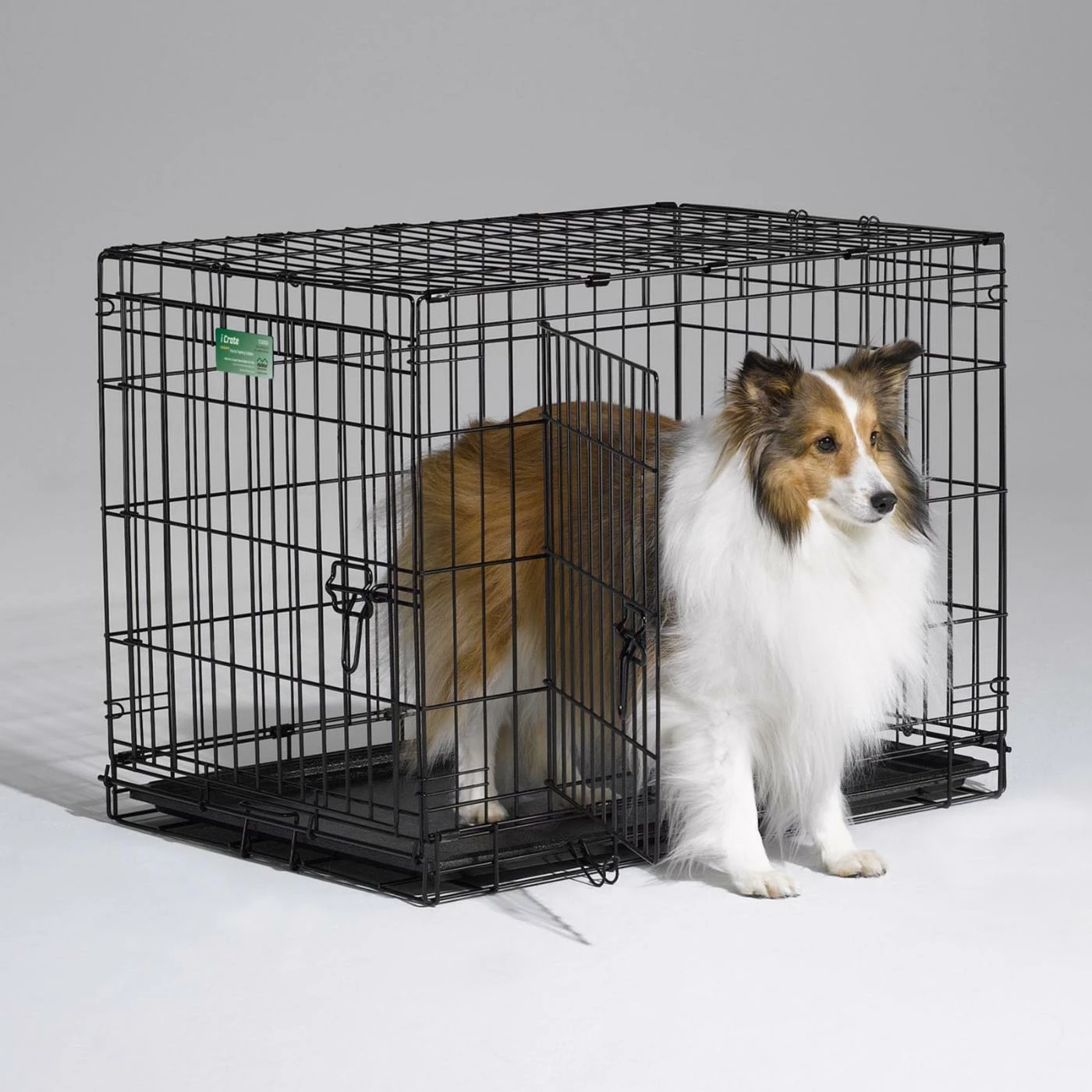 MidWest Homes For Pets iCrate Folding Double Door Metal Dog Crate Discount ✔️ Mid-West Homes For Pets ???? Dog Crate Accessories MidWest Homes For Pets ICrate Folding Double Door Metal ???? Dog Crate ✨ -Lucky Dog Sales Store detail5MH135