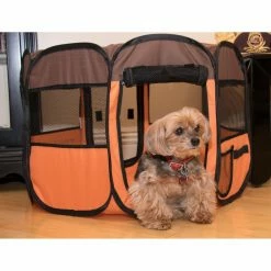 Deals ???? Dog Crates Pet Life All-Terrain Lightweight Easy Folding Wire Framed Collapsible Travel Pet Playpen ???? -Lucky Dog Sales Store detail5PTF224