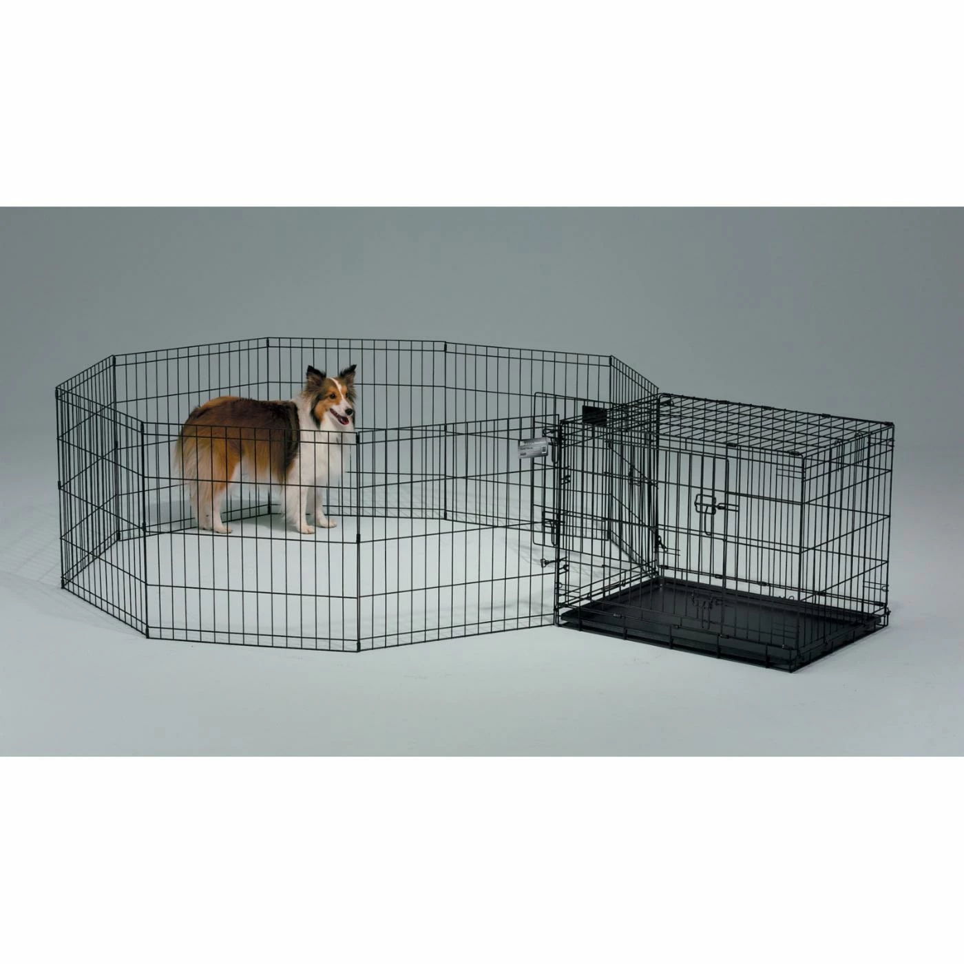 MidWest Homes For Pets iCrate Folding Double Door Metal Dog Crate Discount ✔️ Mid-West Homes For Pets ???? Dog Crate Accessories MidWest Homes For Pets ICrate Folding Double Door Metal ???? Dog Crate ✨ -Lucky Dog Sales Store detail7MH135