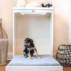 Promo ???? Dog Bed Furniture New Age Pet EchoFLEX Murphy Pet Bed With Memory Foam Cushion ???? -Lucky Dog Sales Store detail7PIL101