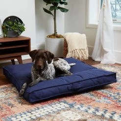 Best reviews of ⌛ Pillow Happy Hounds Milo Square Tufted ???? Dog Bed - Large -Cobalt ???? 11 Best reviews of ⌛ Pillow Happy Hounds Milo Square Tufted ???? Dog Bed - Large -Cobalt ???? -Lucky Dog Sales Store detailGHF236