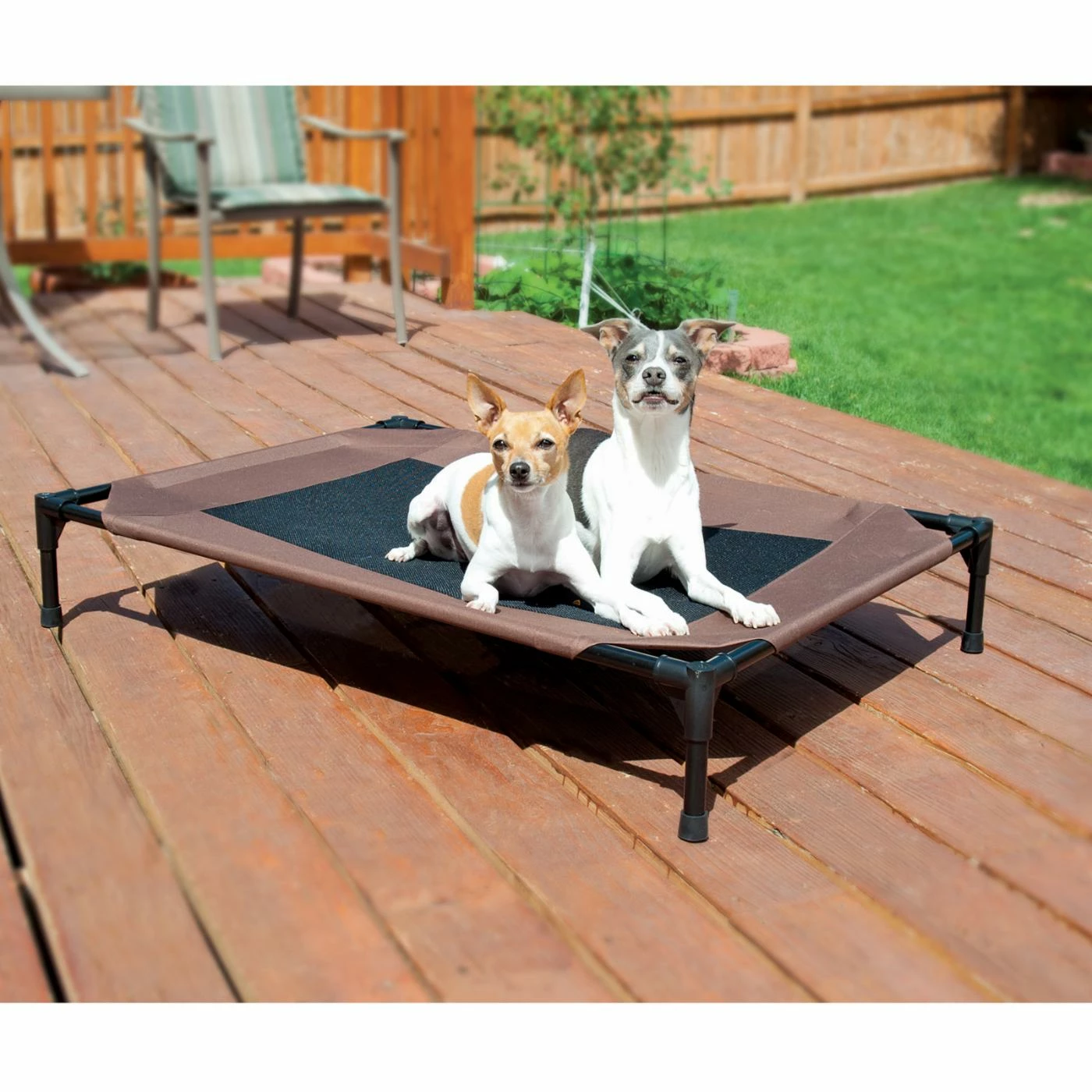 Top 10 ???? K&H Pet Products Outdoor K&H Pet Products Original 2 Tone Pet Cot ???? 5 Top 10 ???? K&H Pet Products Outdoor K&H Pet Products Original 2 Tone Pet Cot ???? - Image 3