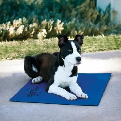 Best reviews of ???? K&H Pet Products ???? Dog Mats & Pads K&H Pet Products Cooling Pet Pad ✔️ -Lucky Dog Sales Store detailKHMA017