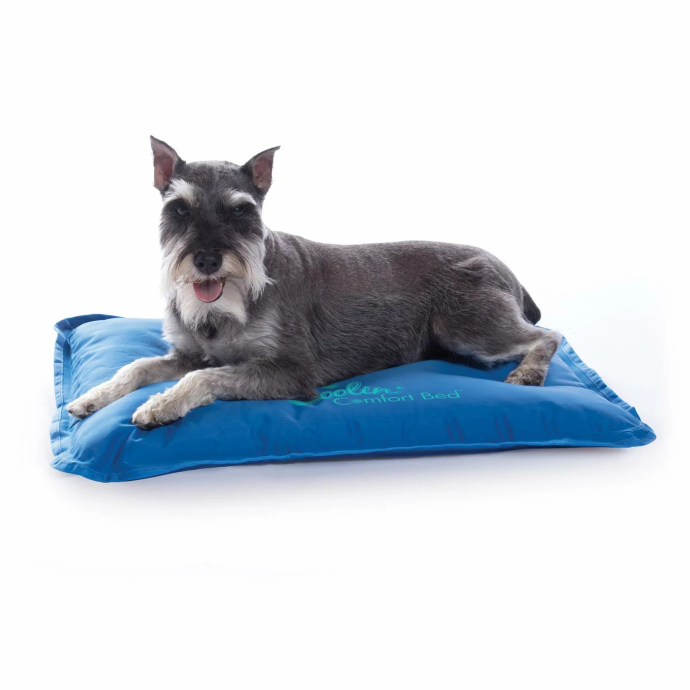 Coupon ⌛ K&H Pet Products ???? Dog Mats & Pads K&H Pet Products Coolin Comfort Bed ???? 5 Coupon ⌛ K&H Pet Products ???? Dog Mats & Pads K&H Pet Products Coolin Comfort Bed ???? - Image 3