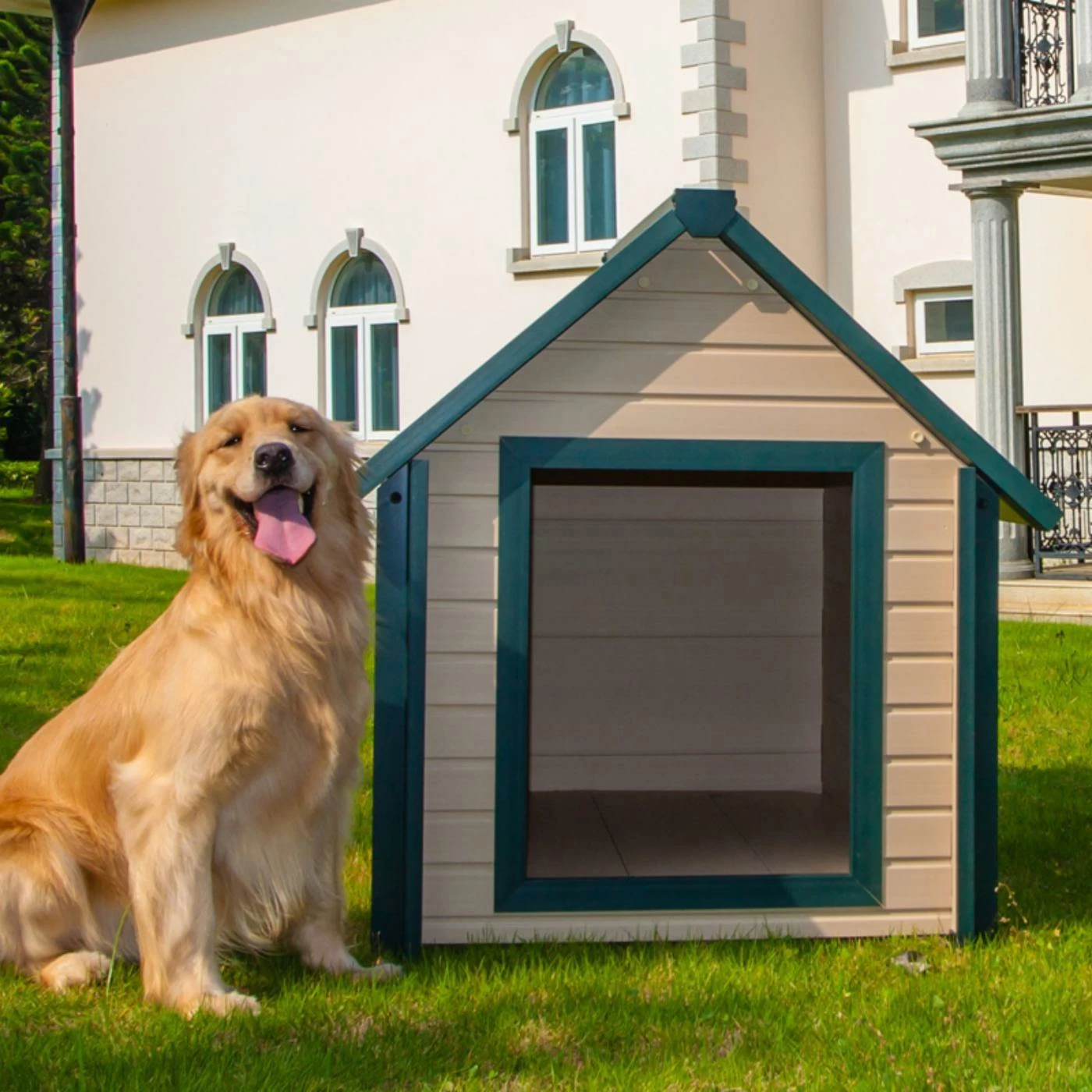 Outlet ๐ All Other Materials New Age Pet EcoFLEX Bunkhouse ๐ถ Dog House ๐ - Image 3