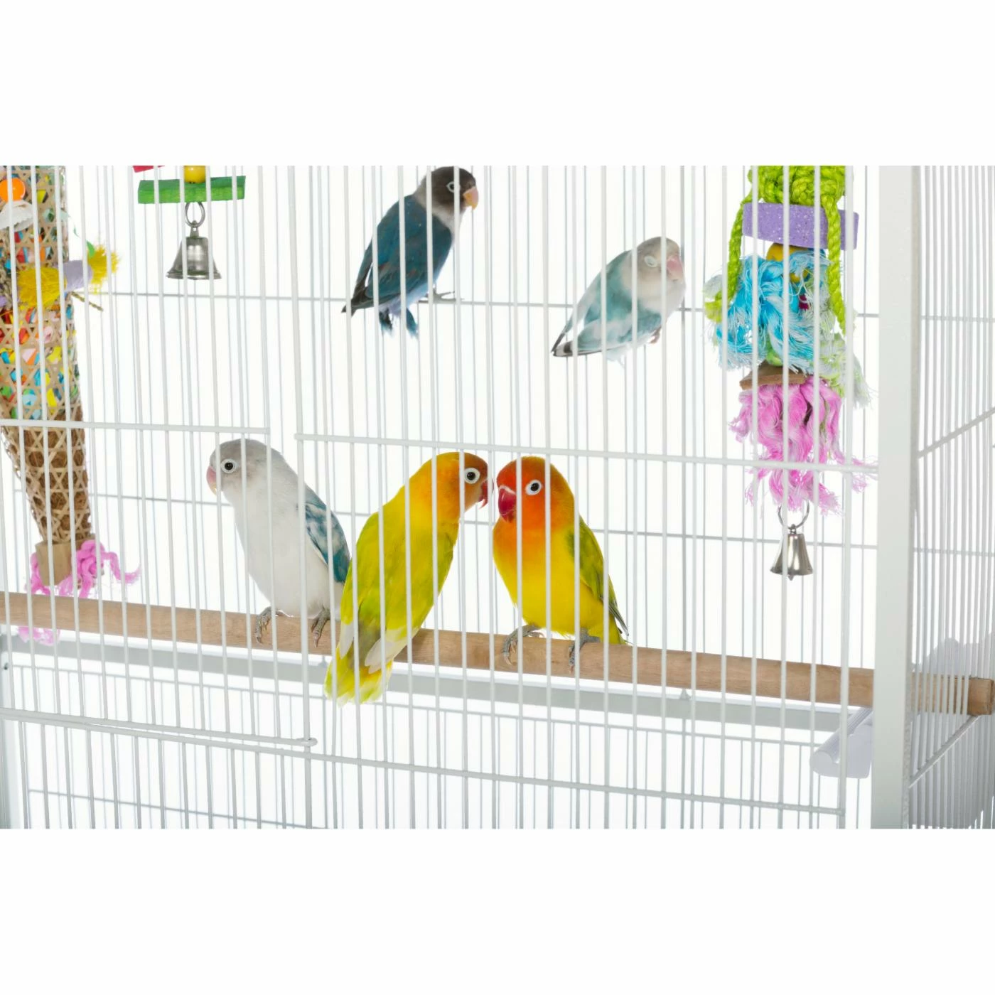 Best Sale π Large Bird Cages Prevue Pet Products Wrought Iron Flight Cage With Stand π - Image 3