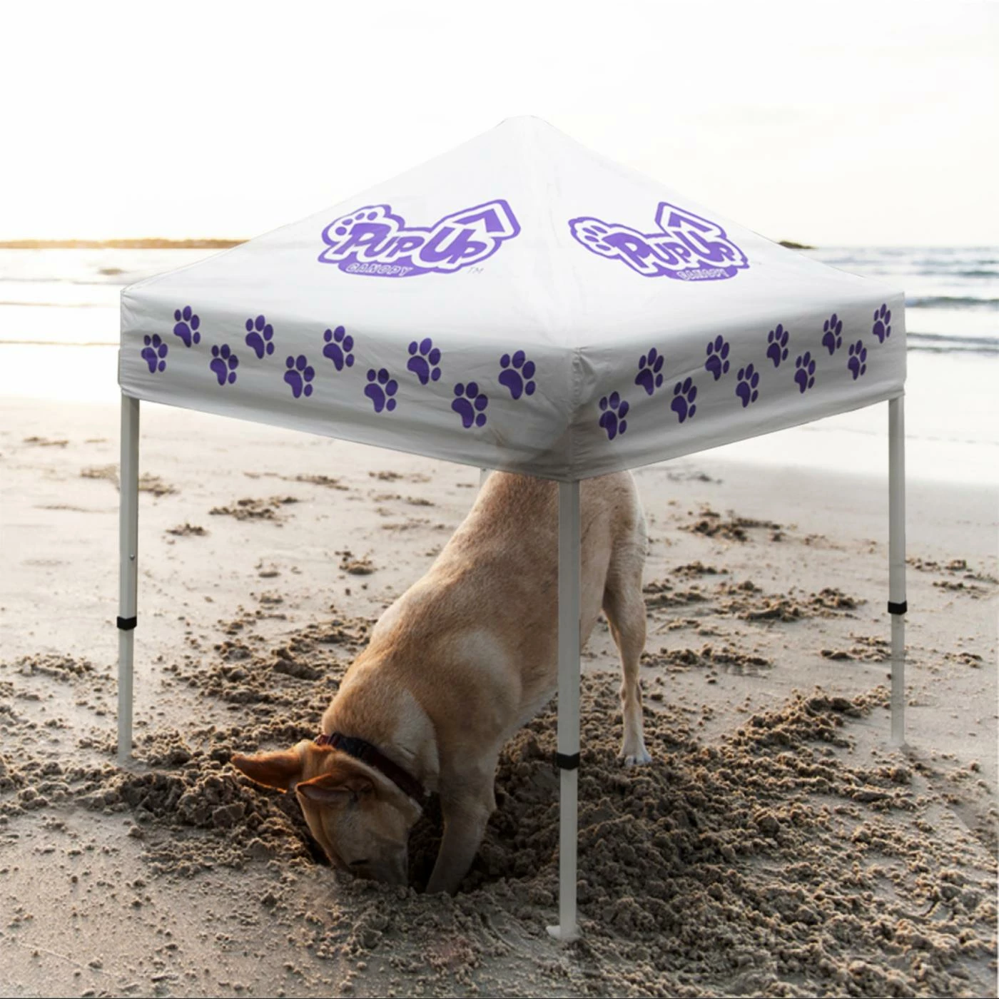 Outlet ✔️ All Other Materials Caravan Sports Pup Up Canopy ???? Dog House ???? 3 Outlet ✔️ All Other Materials Caravan Sports Pup Up Canopy ???? Dog House ???? - Image 2