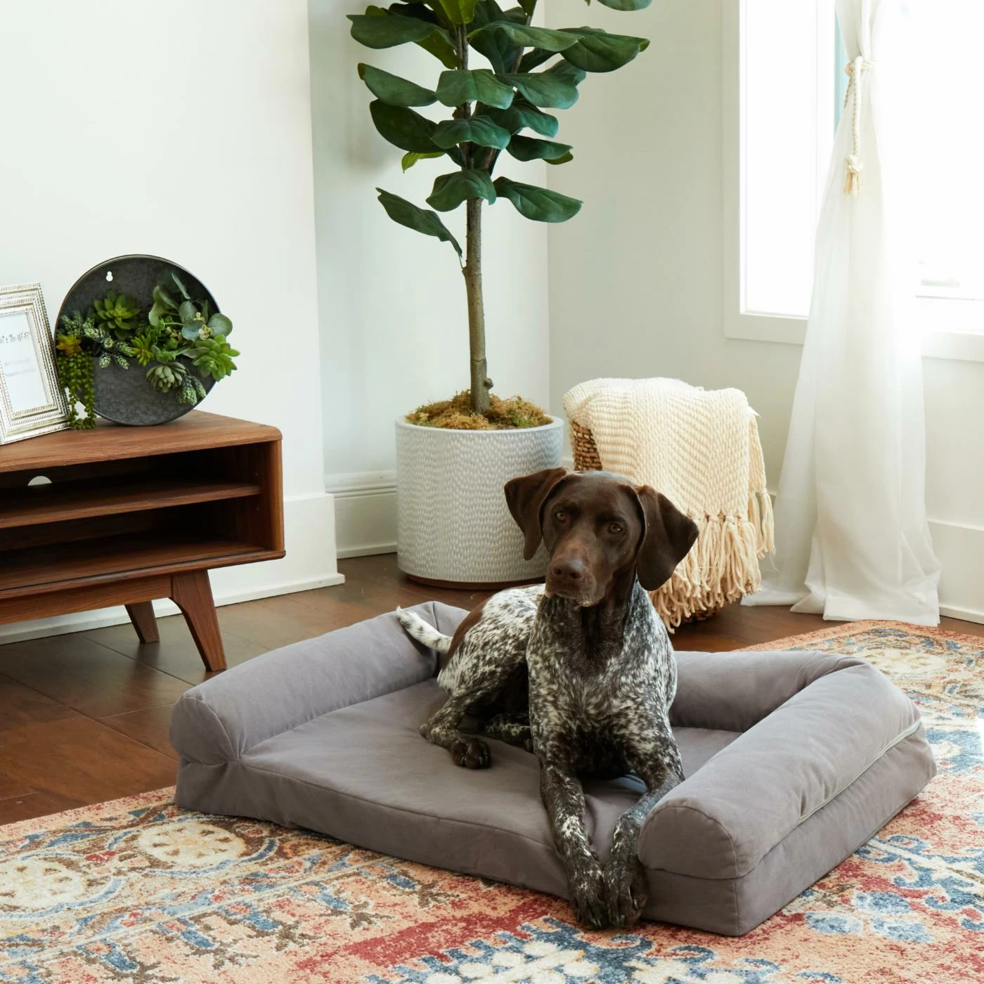 Happy Hounds Luna Gray Sofa Dog Bed - Large Brand new ???? Bolster Happy Hounds Luna Gray Sofa ???? Dog Bed - Large ✨ -Lucky Dog Sales Store inuseGHF237