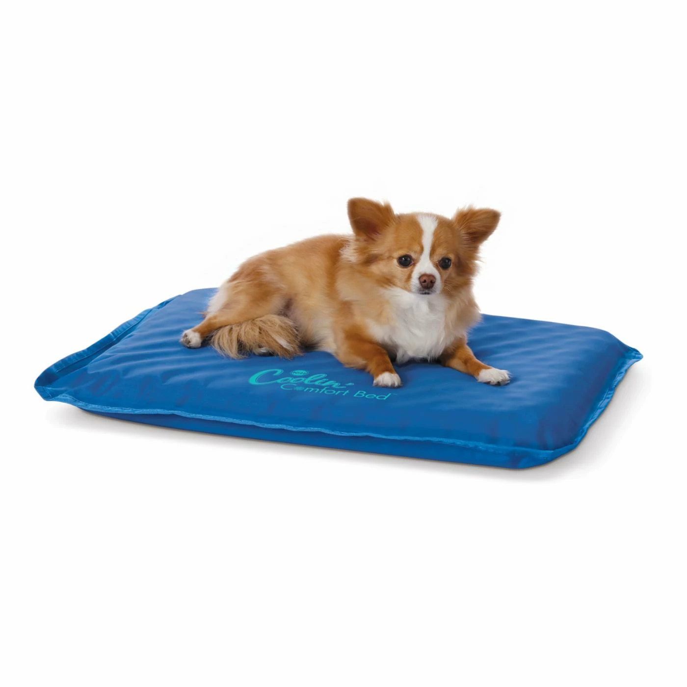 Coupon ⌛ K&H Pet Products ???? Dog Mats & Pads K&H Pet Products Coolin Comfort Bed ???? 4 Coupon ⌛ K&H Pet Products ???? Dog Mats & Pads K&H Pet Products Coolin Comfort Bed ???? - Image 2