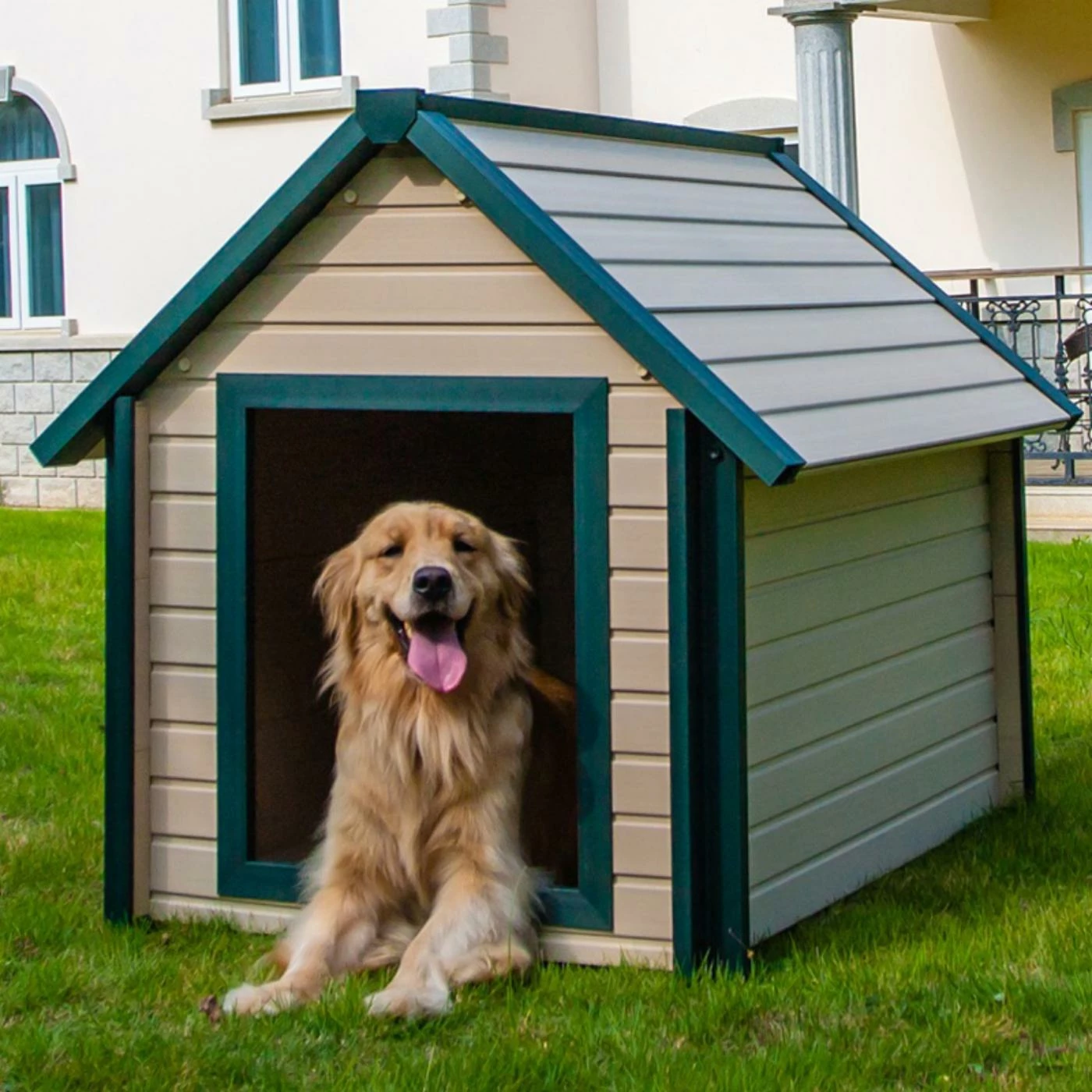 Outlet ๐ All Other Materials New Age Pet EcoFLEX Bunkhouse ๐ถ Dog House ๐ - Image 2