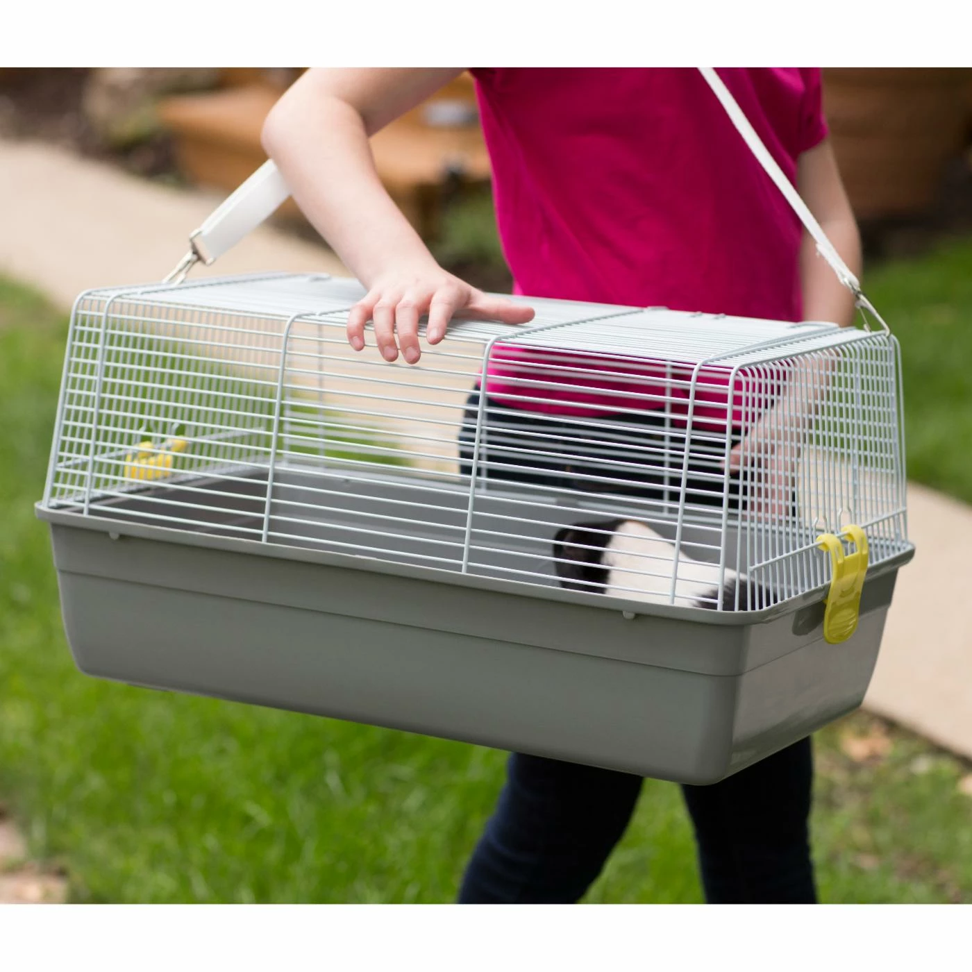 Deals π₯° Medium Bird Cages Prevue Pet Products Universal Pet Carrier Gray π - Image 2
