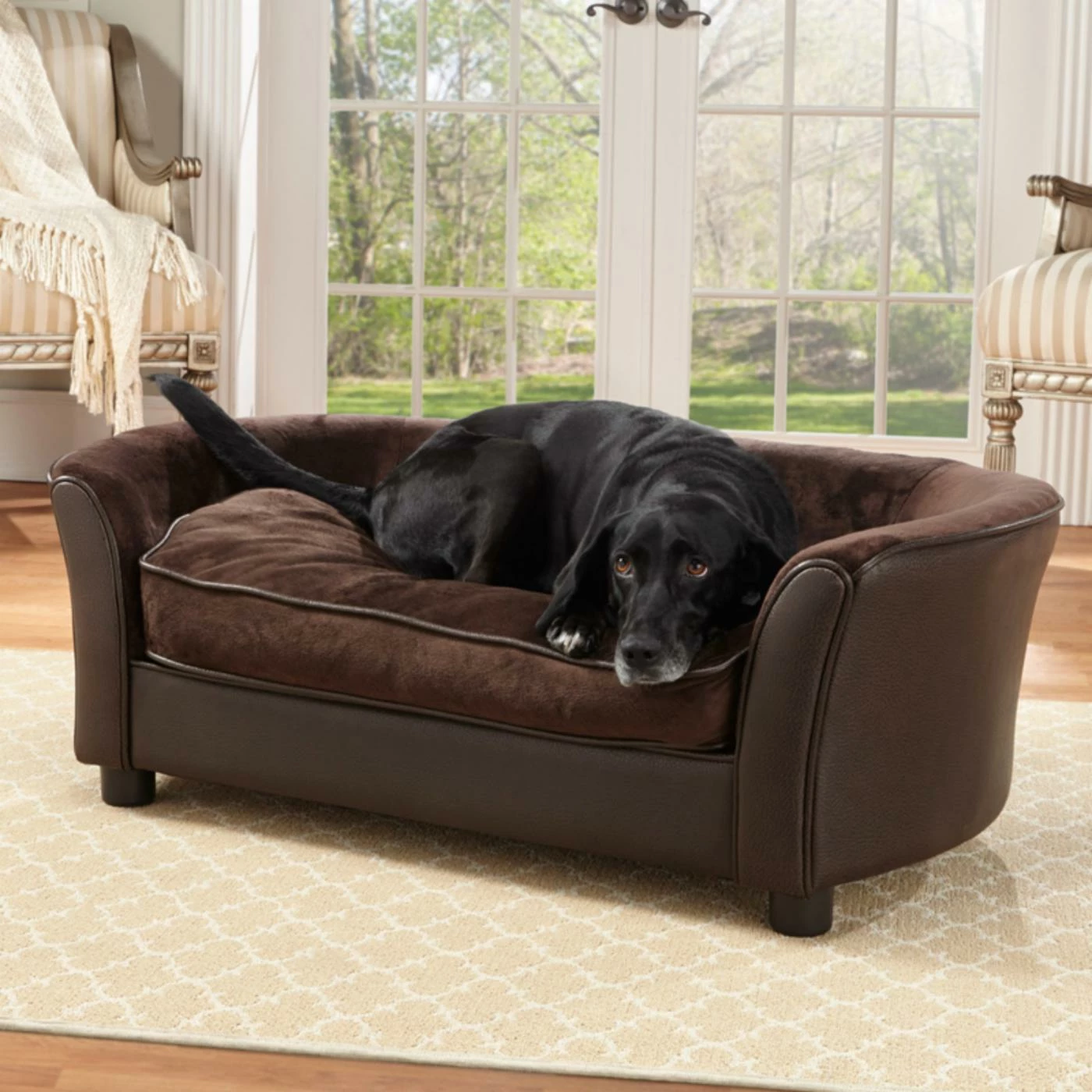 Enchanted Home Pet Panache Pet Bed Top 10 ⌛ Dog Bed Furniture Enchanted Home Pet Panache Pet Bed ???? -Lucky Dog Sales Store inuseQPRO157