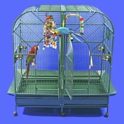 Coupon 🎉 A And E Cage Company Large Bird Cages A And E Cage Co. Dome Top Style Double Macaw Bird Cage 6432 ⌛