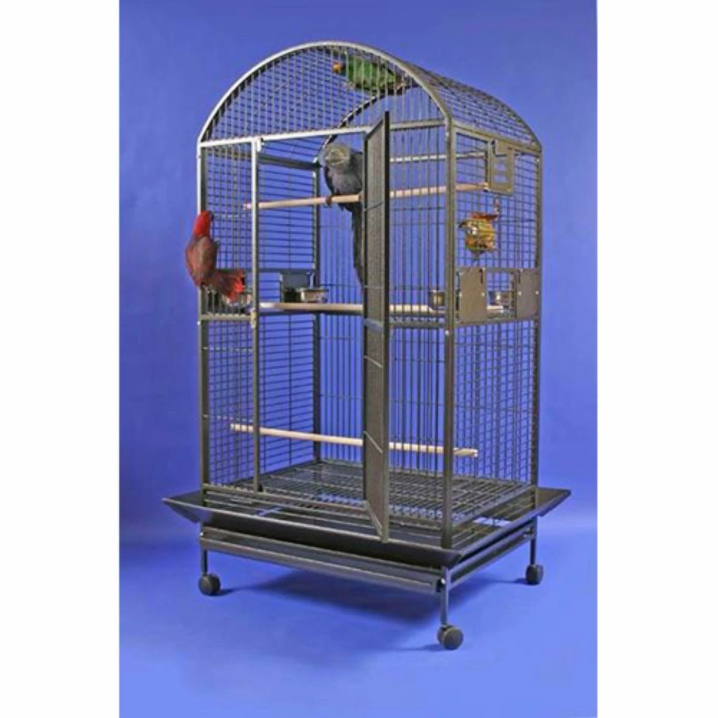 A and E Cage Co. Madison Dometop Bird Cage Discount ???? A And E Cage Company Large Bird Cages A And E Cage Co. Madison Dometop Bird Cage ???? -Lucky Dog Sales Store masterAEC075