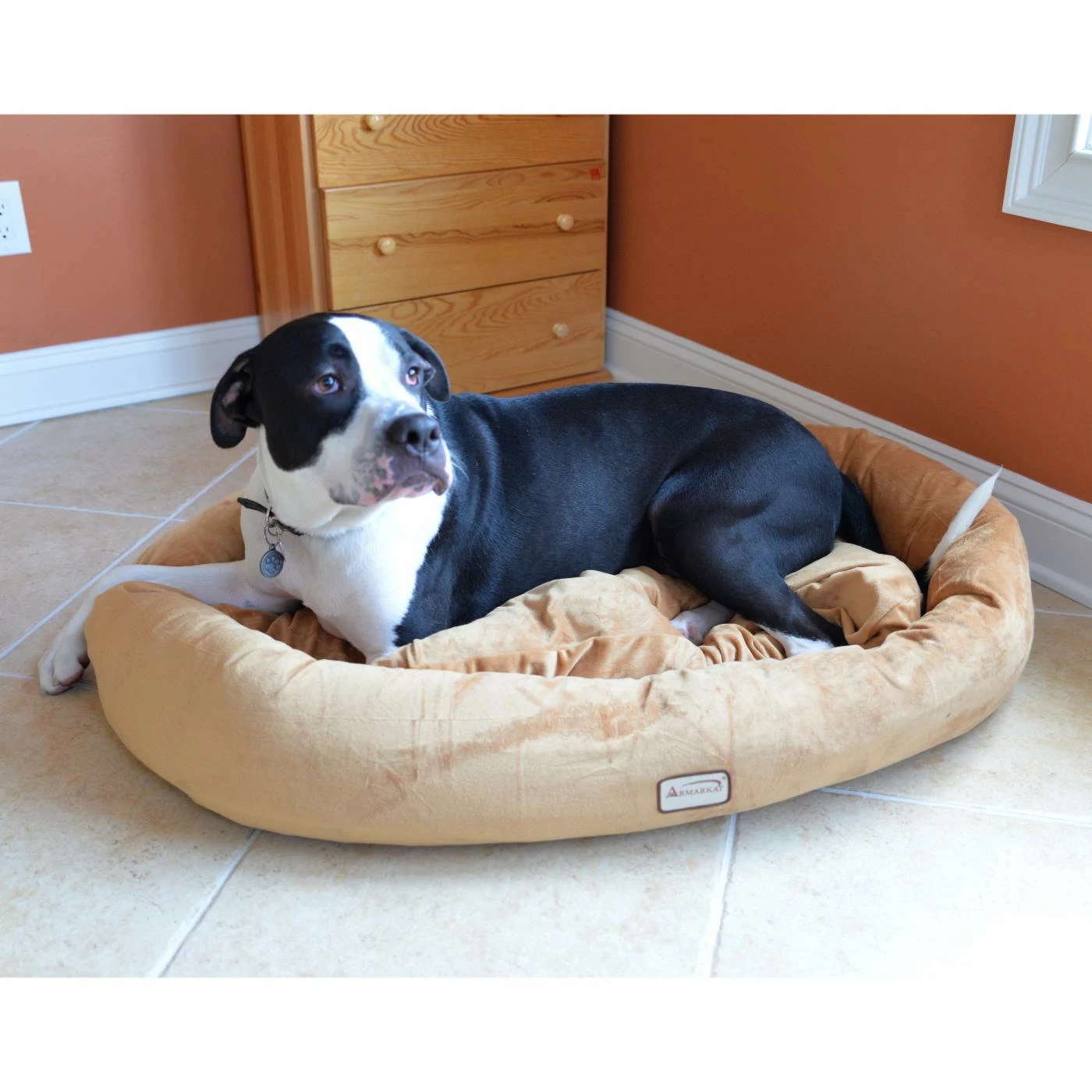 Armarkat Oval Dog Bed Mat House Cheapest ✨ Donut Armarkat Oval ???? Dog Bed Mat House ???? -Lucky Dog Sales Store masterAOI053