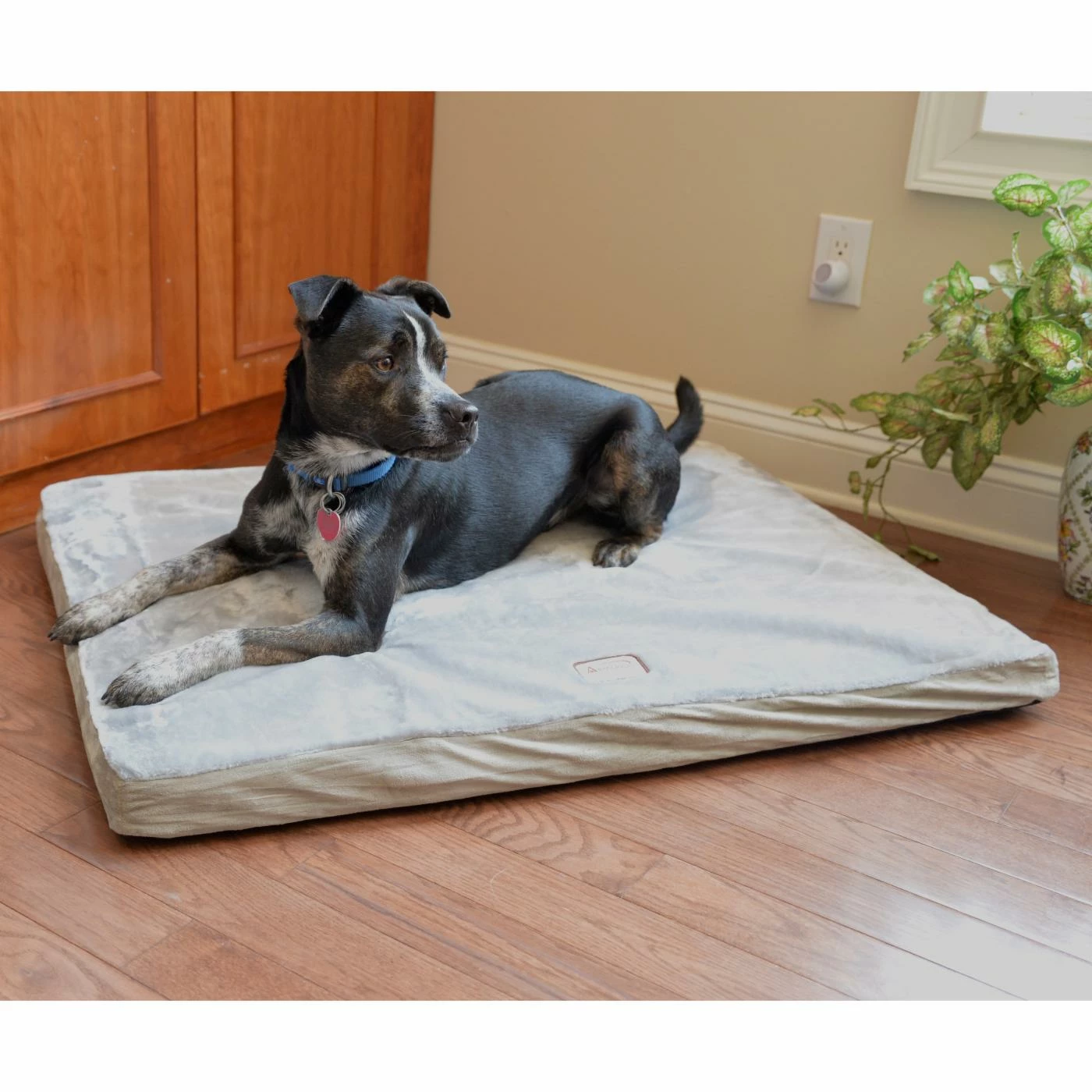 Wholesale ???? Armarkat Memory Foam Orthopedic Pet Bed ???? 3 Wholesale ???? Armarkat Memory Foam Orthopedic Pet Bed ????