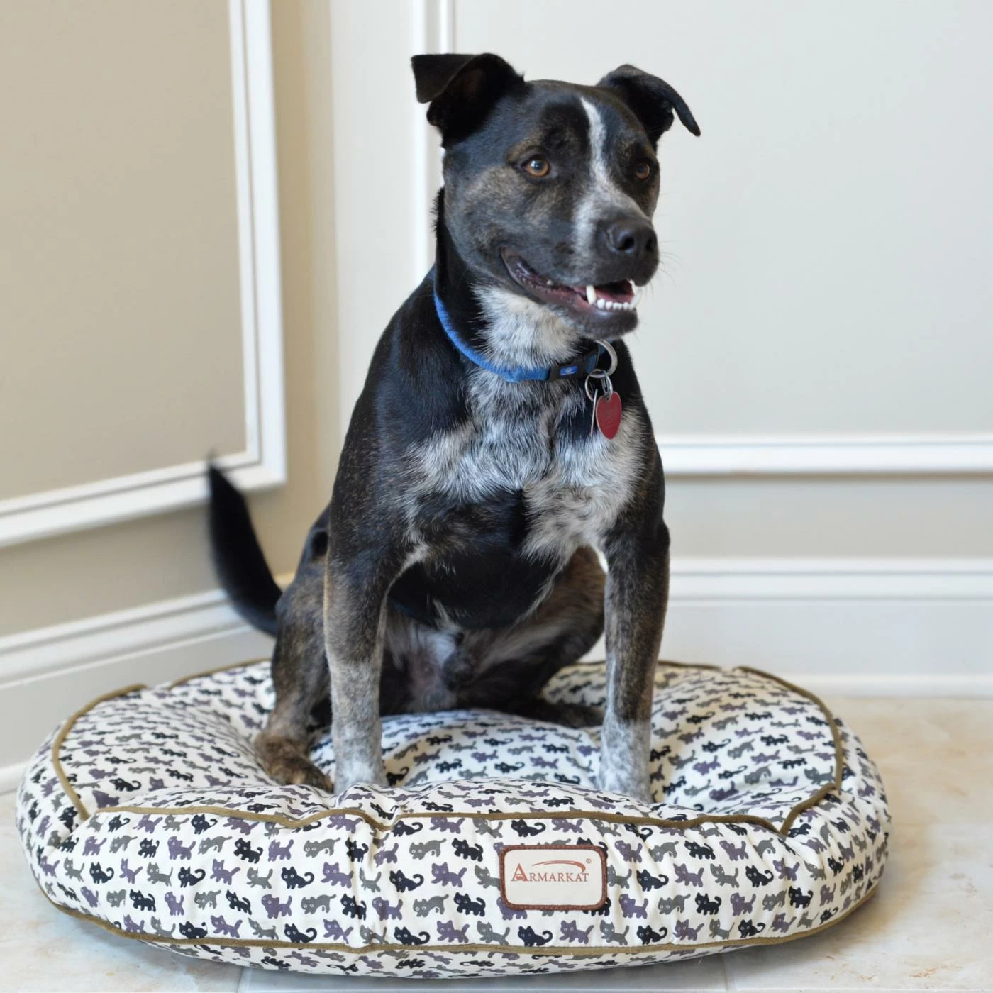 Armarkat Pet Bed Pad in Canvas Best Sale ✔️ Pillow Armarkat Pet Bed Pad In Canvas ✨ -Lucky Dog Sales Store masterAOI061