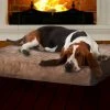 Discount ✔️ Dog Mats & Pads PAW Memory Foam ???? Dog Bed With Removable Cover ???? -Lucky Dog Sales Store masterASR7923