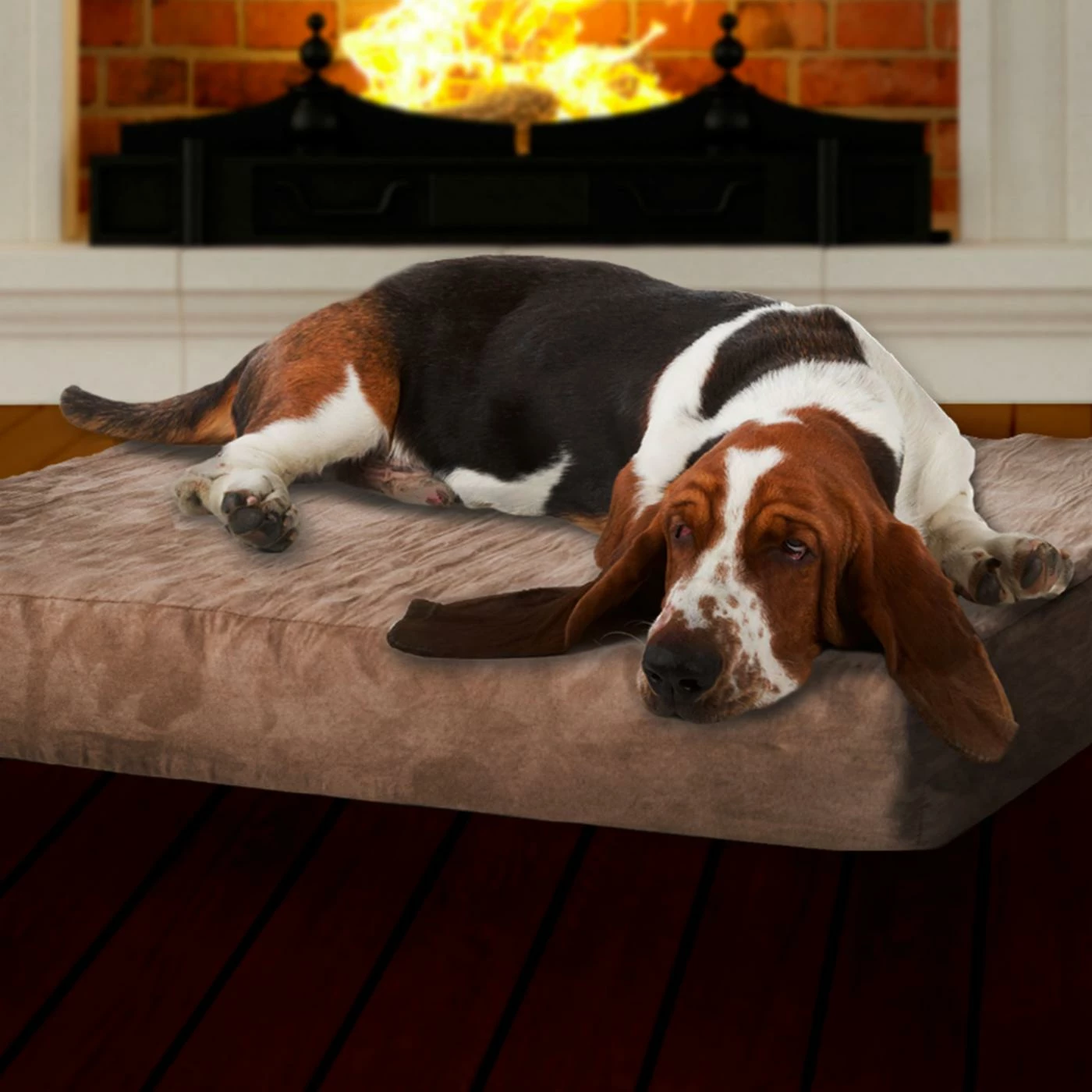 Discount ✔️ Dog Mats & Pads PAW Memory Foam ???? Dog Bed With Removable Cover ???? 3 Discount ✔️ Dog Mats & Pads PAW Memory Foam ???? Dog Bed With Removable Cover ????