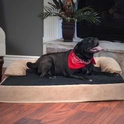Outlet ???? Petmaker Orthopedic Memory Foam Pet Bed ✨