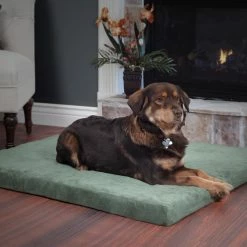 Brand new 🛒 Petmaker Jumbo Orthopedic Super Foam Pet Bed 👍