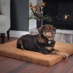 Best reviews of 👏 Bolster Petmaker 3 In. Foam Pet Bed 🛒