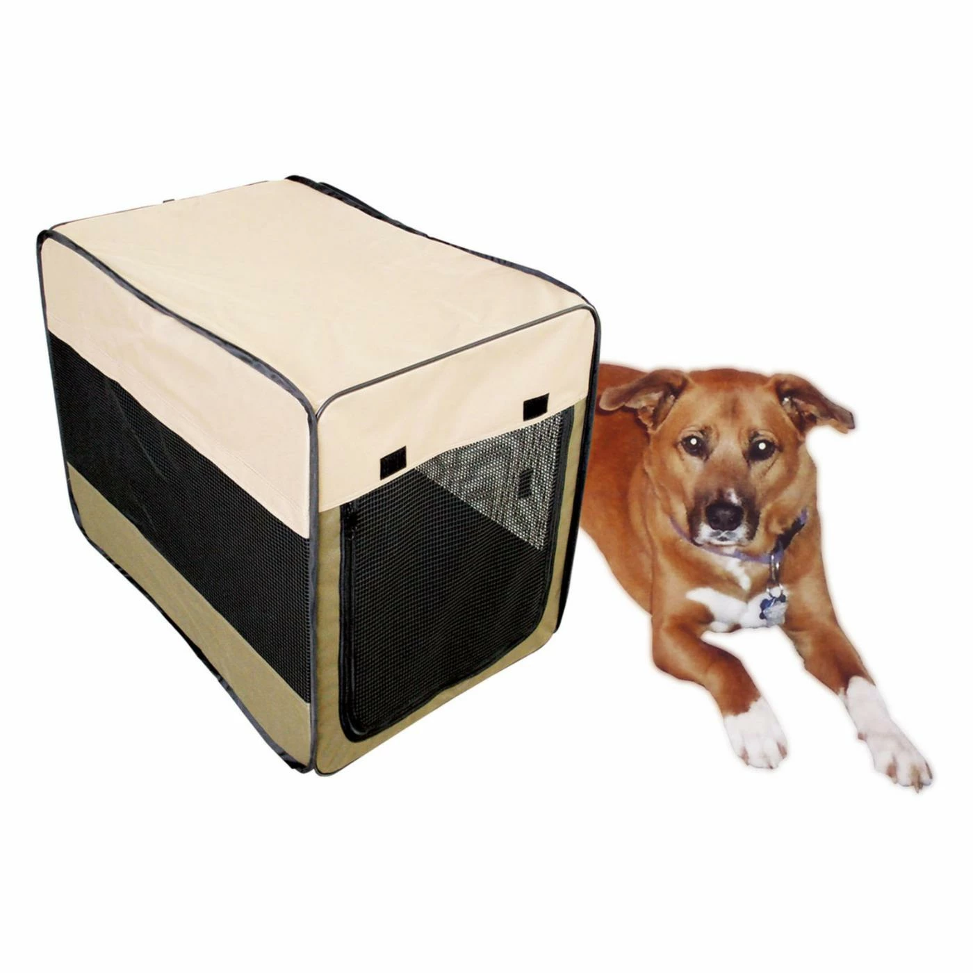 Sportsman Series 36 in. Portable Pet Kennel Outlet ???? Buffalo Tools ???? Dog Crate Accessories Sportsman Series 36 In. Portable Pet Kennel ???? -Lucky Dog Sales Store masterBFT070