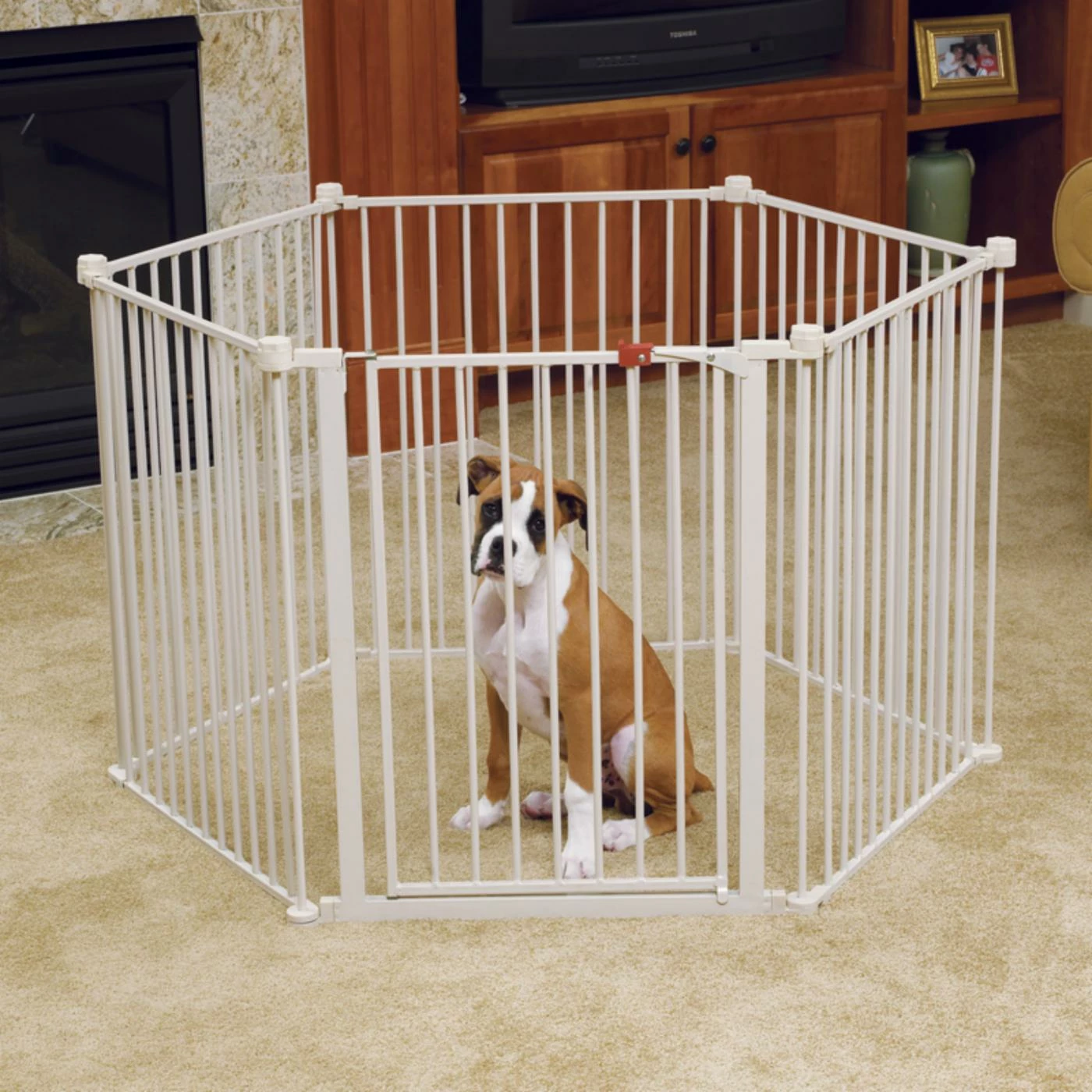 Convertible Pet Yard - Model 2200PY - 144W x 28H in. Wholesale ???? Carlson Pet ???? Dog Exercise Pens Convertible Pet Yard - Model 2200PY - 144W X 28H In. ???? -Lucky Dog Sales Store masterCSO016
