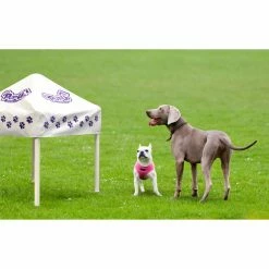 Outlet ✔️ All Other Materials Caravan Sports Pup Up Canopy 🦮 Dog House 🤩