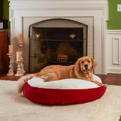 Top 10 ⌛ Happy Hounds Pillow Scout Deluxe Round 🐕 Dog Bed 👏