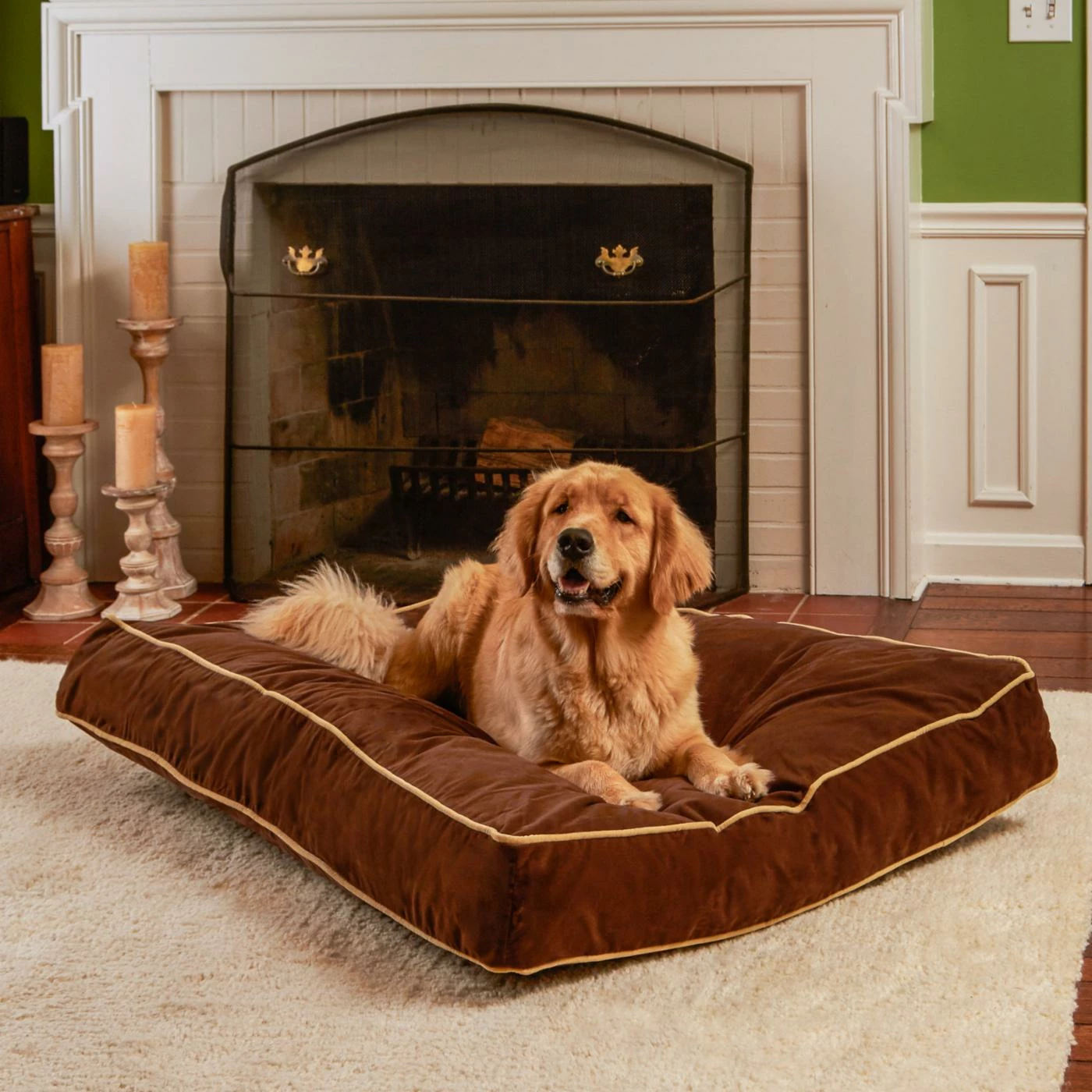 Buster Indoor Dog Bed Coupon ✔️ Happy Hounds Pillow Buster Indoor ???? Dog Bed ???? -Lucky Dog Sales Store masterGHF034