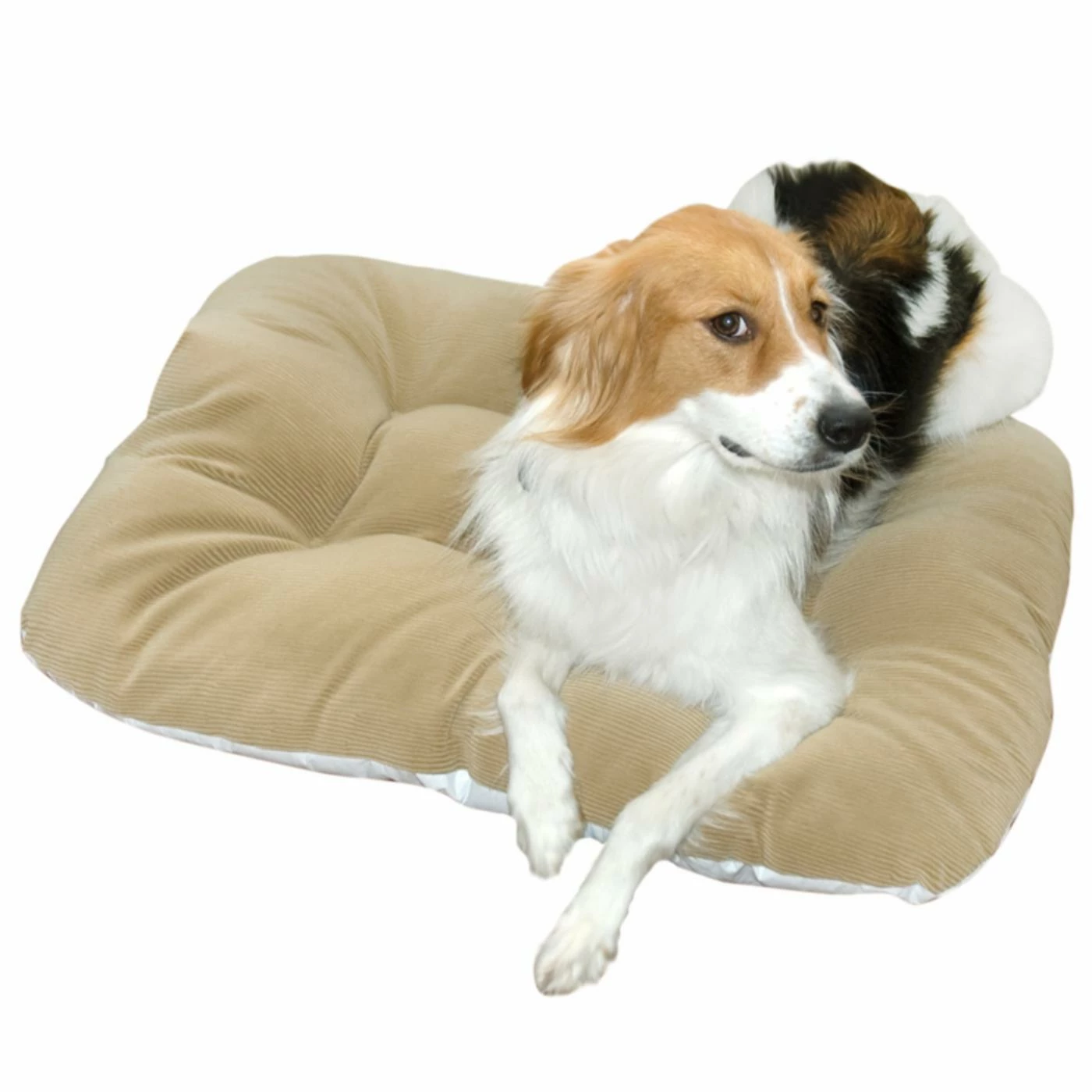 Wholesale ???? Happy Hounds ???? Dog Mats & Pads Dakota ???? Dog Floor Pad ???? 3 Wholesale ???? Happy Hounds ???? Dog Mats & Pads Dakota ???? Dog Floor Pad ????