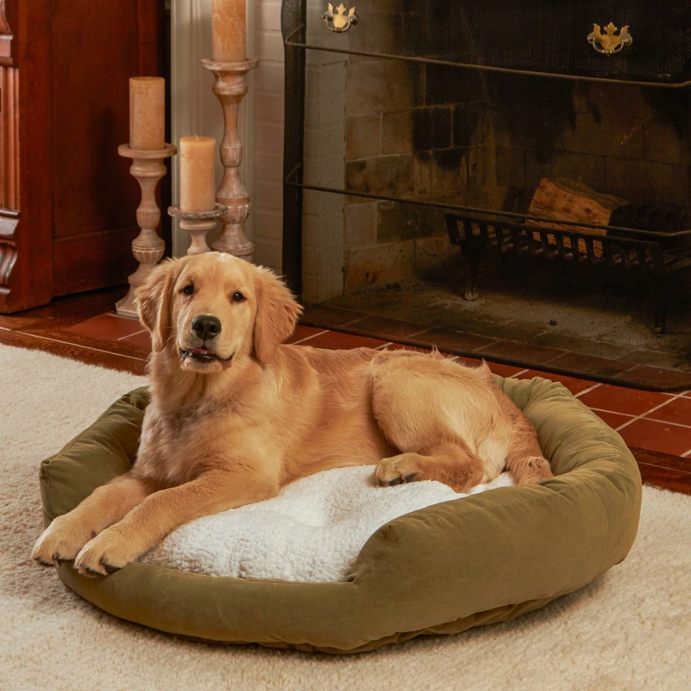 Best deal ๐ Happy Hounds Murphy Donut ๐ Dog Bed ๐