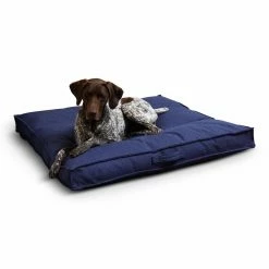 Best reviews of ⌛ Pillow Happy Hounds Milo Square Tufted ???? Dog Bed - Large -Cobalt ????
