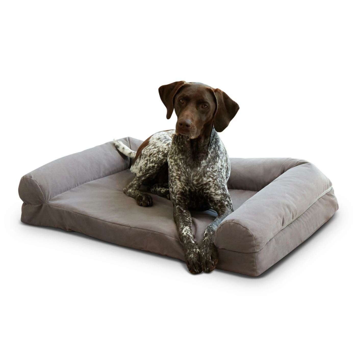 Happy Hounds Luna Gray Sofa Dog Bed - Large Brand new ???? Bolster Happy Hounds Luna Gray Sofa ???? Dog Bed - Large ✨ -Lucky Dog Sales Store masterGHF237