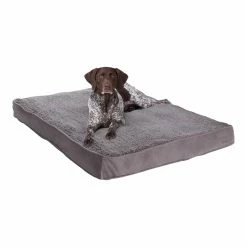 Top 10 🛒 Orthopedic Happy Hounds Daisy Deluxe Supportive Pet Bed - Large - Gray 🔔