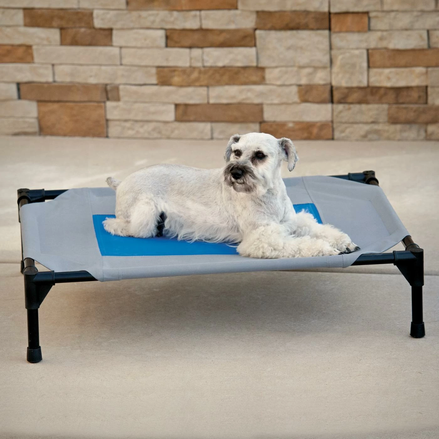 K&H Pet Products Cooling Pet Cot Outlet ???? K&H Pet Products Outdoor K&H Pet Products Cooling Pet Cot ???? -Lucky Dog Sales Store masterKHMA014