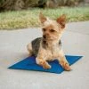 Best reviews of ???? K&H Pet Products ???? Dog Mats & Pads K&H Pet Products Cooling Pet Pad ✔️ -Lucky Dog Sales Store masterKHMA017