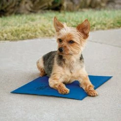 Best reviews of 🎁 K&H Pet Products 🐕 Dog Mats & Pads K&H Pet Products Cooling Pet Pad ✔️